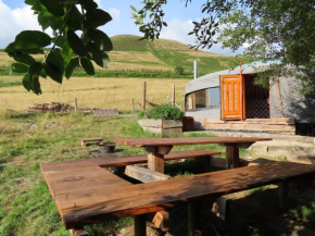 Annies Land Wales super insulated Fire Yurt